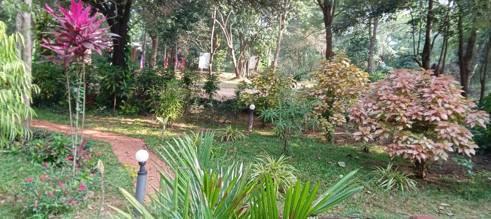 Hotel Bejewelled Sigiriya Exterior photo